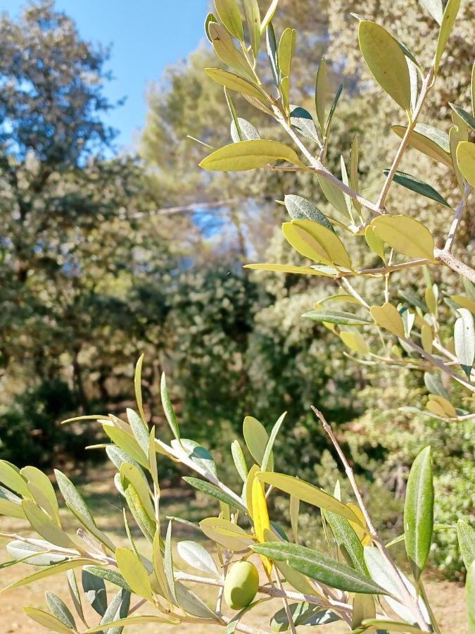 Studio Avec Jardin Entre Aix-En-Provence, Luberon Et Verdon Peyrolles-en-Provence Экстерьер фото