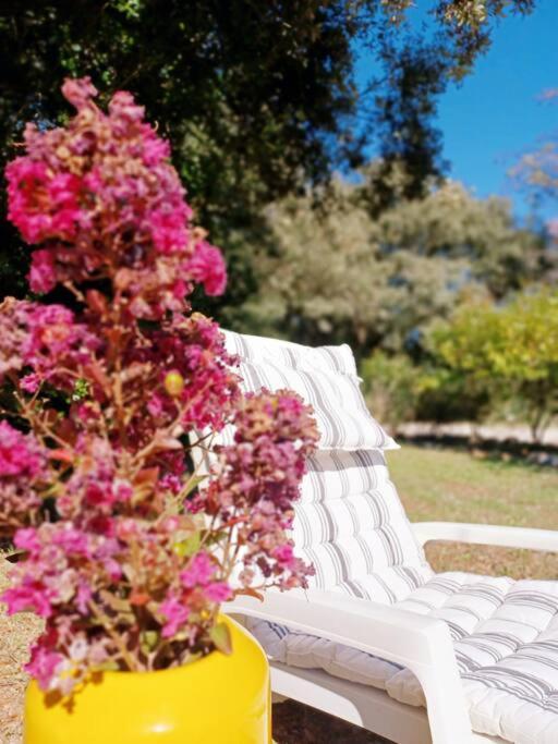 Studio Avec Jardin Entre Aix-En-Provence, Luberon Et Verdon Peyrolles-en-Provence Экстерьер фото